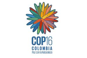 COP16 Biodiversity 2024