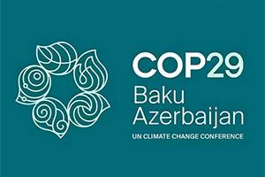 UNFCCC COP29