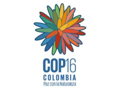 COP16 Biodiversity 2024