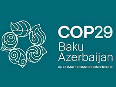 UNFCCC COP29